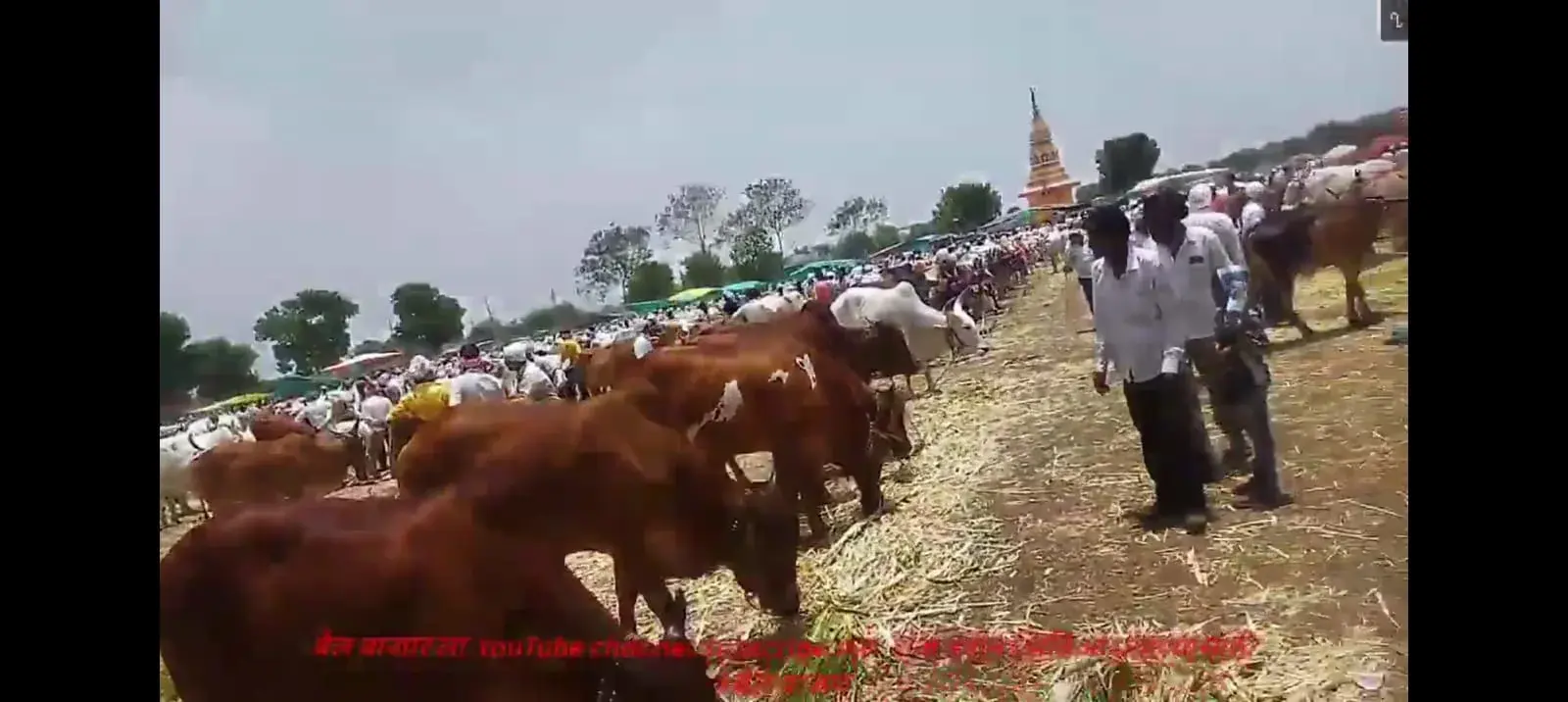 Village Scene 3
