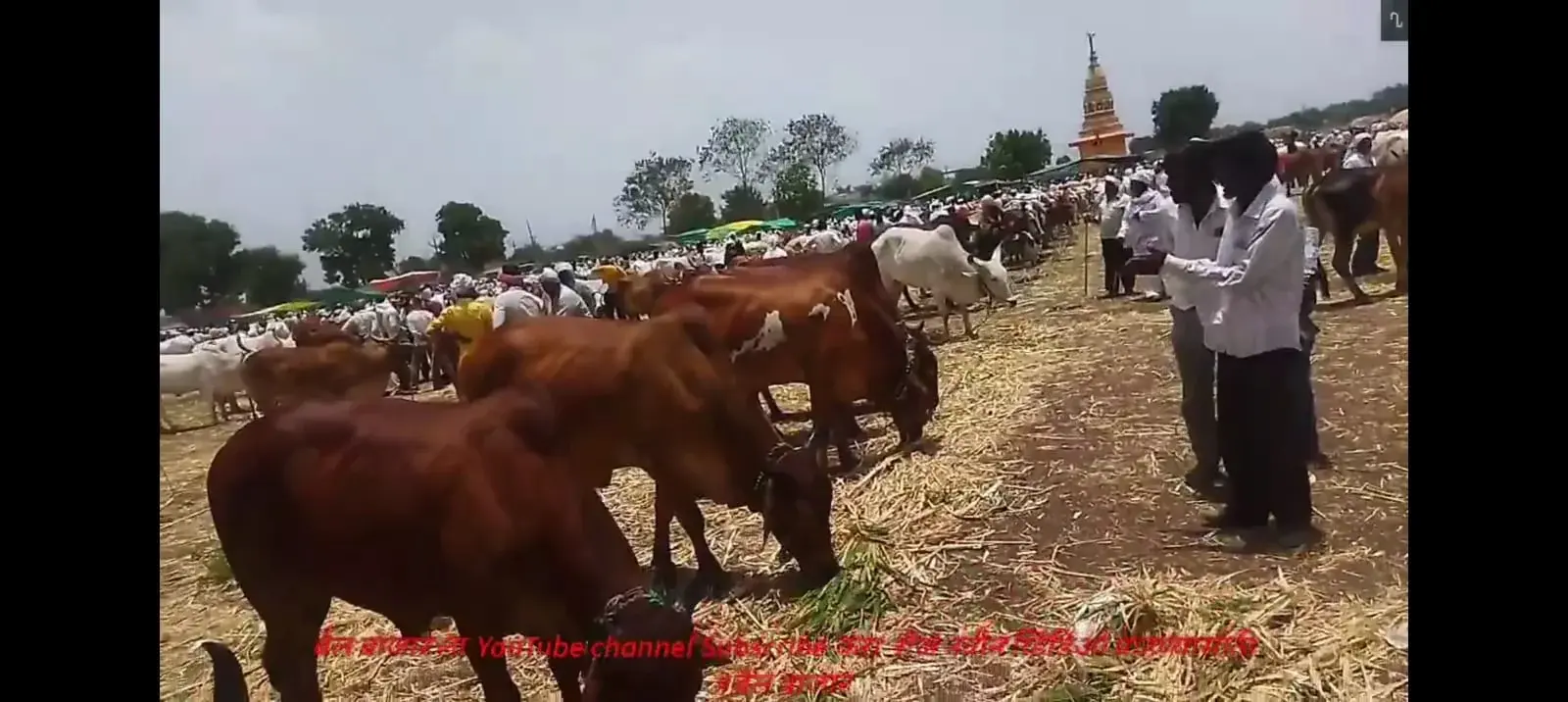 Village Scene 4